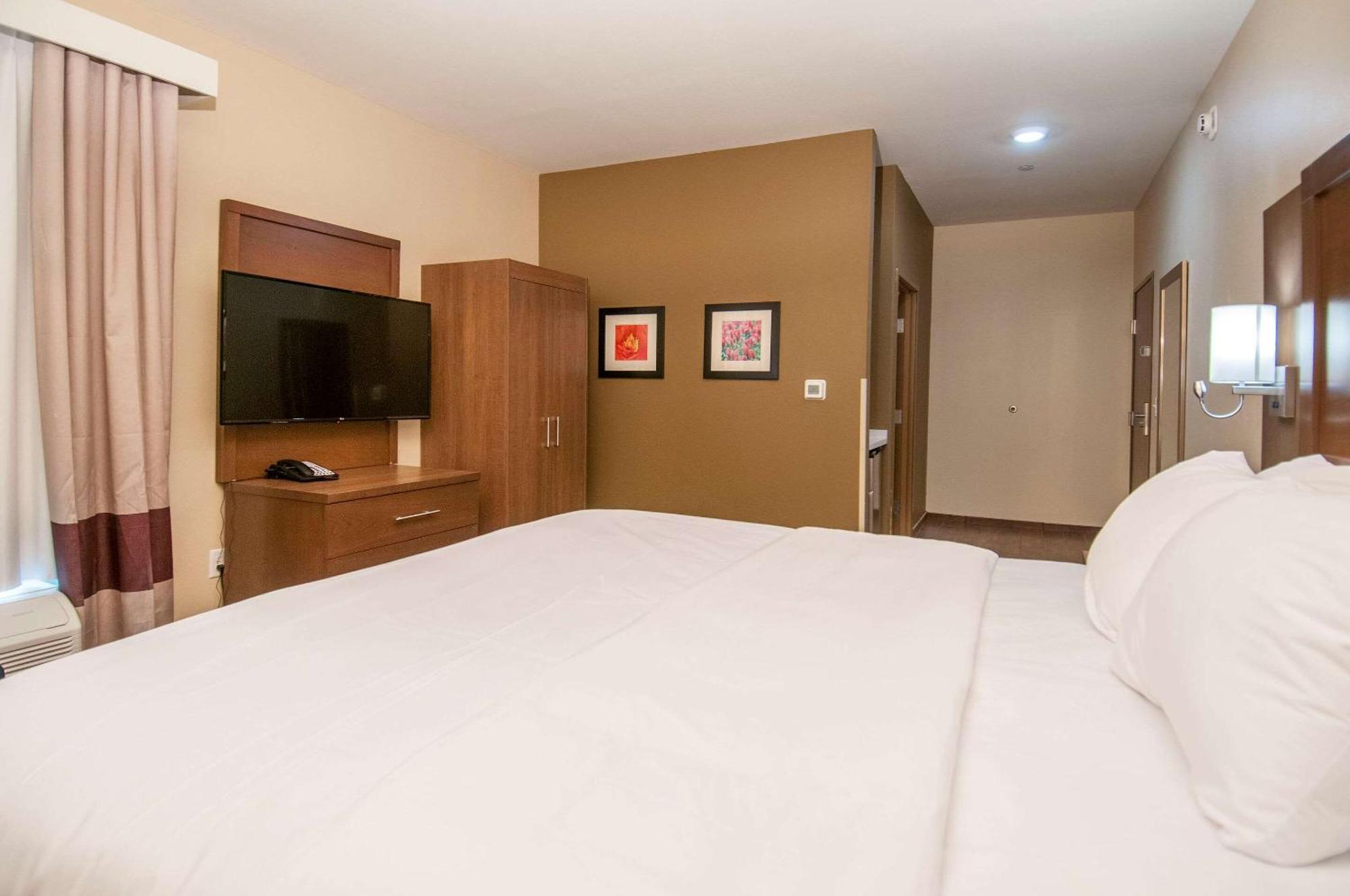 Comfort Inn & Suites Downtown Near University Tuscaloosa Eksteriør bilde
